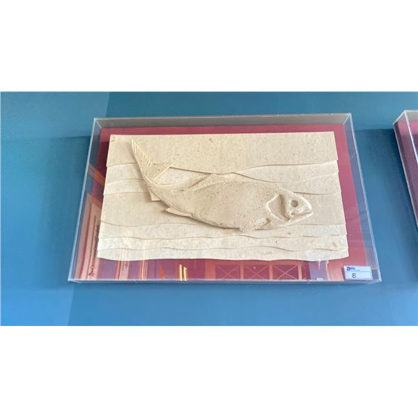 WEST COAST SALMON ART DISPLAY IN PLEXIGLASS SHOWCASE 4 FT L X 2.5B FT W