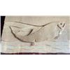 Image 2 : WEST COAST SALMON ART DISPLAY IN PLEXIGLASS SHOWCASE 4 FT L X 2.5B FT W