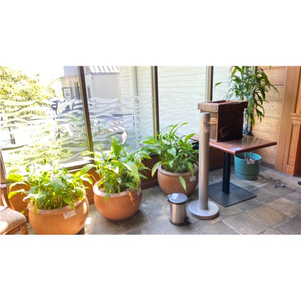 GROUP OF 4 LIVE PLANTS IN  CERAMIC AND PLASTIC POTS, SM. WOODEN TABLE AND DECORATIVE BOX AND