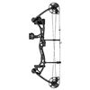Image 3 : Bear Archery Compound Bow Cruzer G2 - NEW R/Hand - Plus extras.