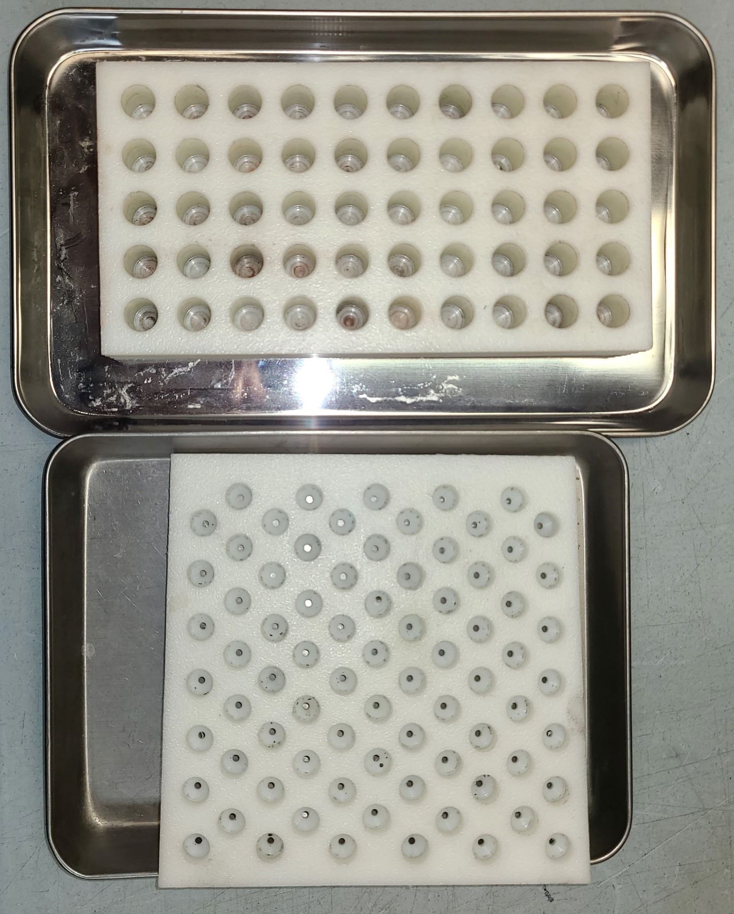 Sorting Bulet Case & Bullet Sorting Stainless Trays & Plastic Blocks