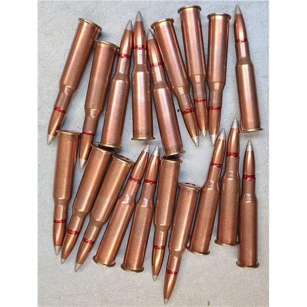 7.62 x 54R Silvertip Mosin Nagant Ammunition - 19 rds