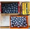 Image 1 : Lead Round Ball Lot - see List - 246 rds