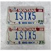 Image 1 : Retired Montana Highway Patrol License Set