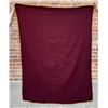 Image 2 : Pendleton University of Minnesota Wool Blanket