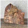 Image 1 : Arizona Rainbow Petrified Wood Lapidary Material