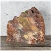 Image 2 : Arizona Rainbow Petrified Wood Lapidary Material