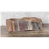 Image 4 : Arizona Rainbow Petrified Wood Lapidary Material