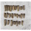 Image 1 : Large Collection of Montana Rattlesnake Rattles