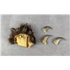Image 2 : Collection of Montana Black Bear Claws