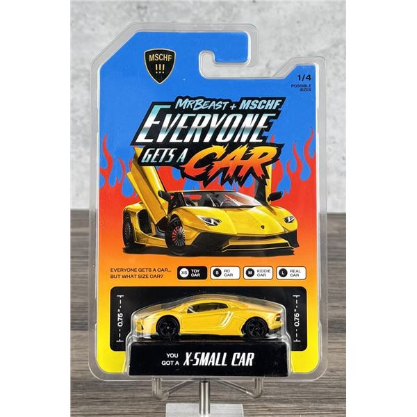 Mr Beast & MSCHF Everyone Gets a Car