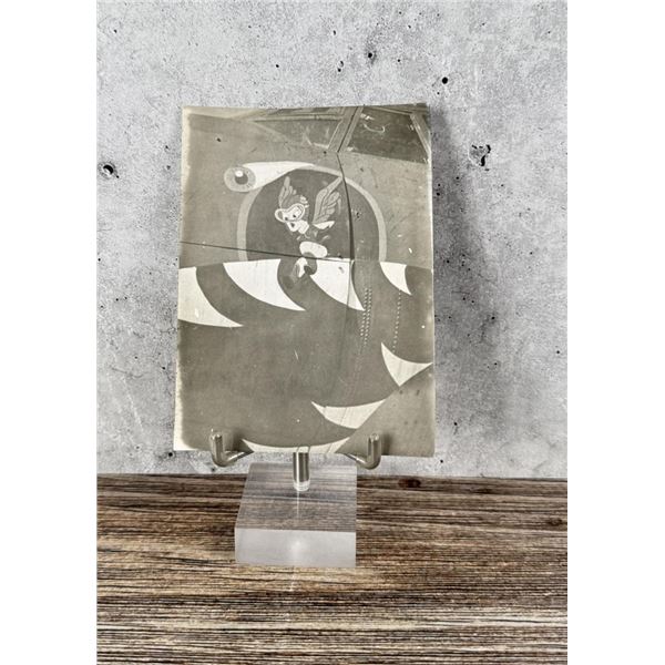 WW2 Bomber Airplane Plane Nose Art Photo