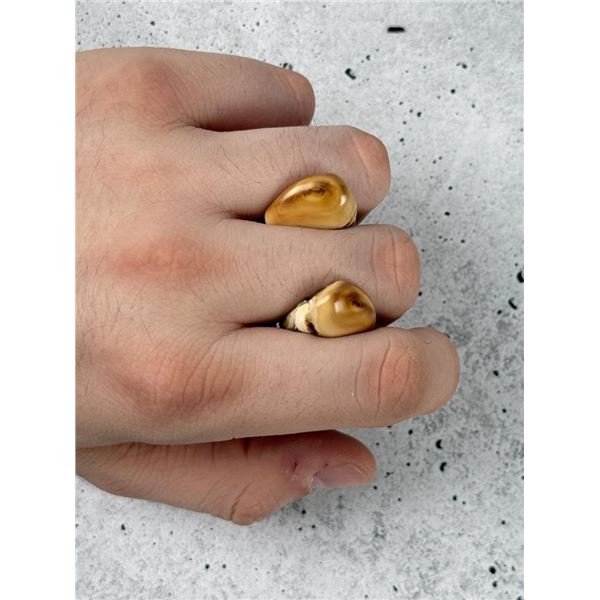 Montana Bull Elk Teeth