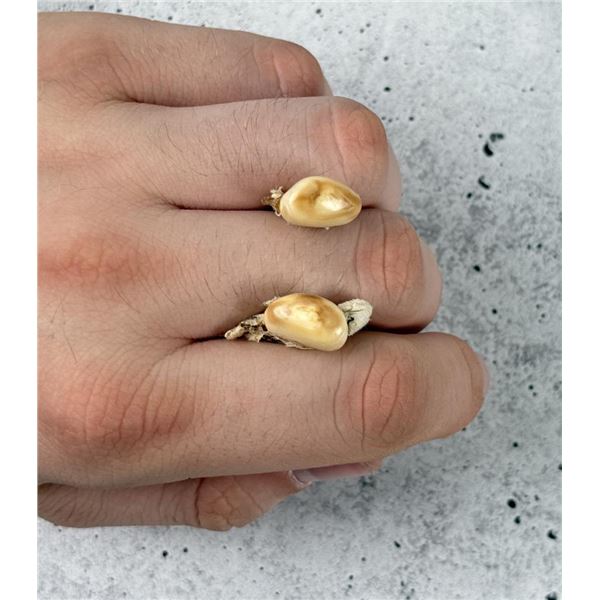 Montana Bull Elk Teeth