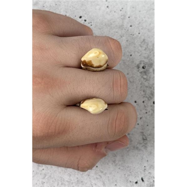 Montana Bull Elk Teeth
