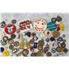 Image 3 : Collection of Pharmacy Nursing School Pins Badges