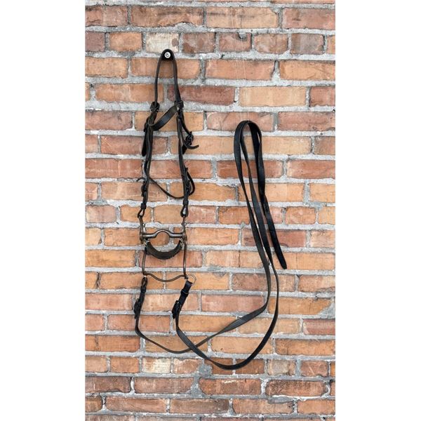 Civil War M1859 US Cavalry Bit