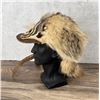 Image 2 : Custom Made Montana Badger Fur Trapper Hat