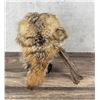 Image 3 : Custom Made Montana Badger Fur Trapper Hat