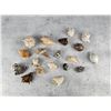 Image 1 : Collection of Seashells