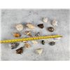 Image 4 : Collection of Seashells