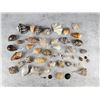Image 1 : Collection of Seashells