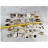 Image 4 : Collection of Seashells