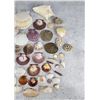Image 3 : Collection of Seashells
