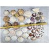 Image 7 : Collection of Seashells