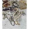 Image 3 : Large Collection of Costume Jewelry