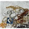 Image 5 : Large Collection of Costume Jewelry