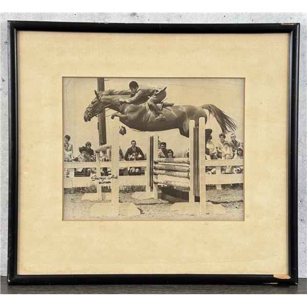 The Hun Show Jumping Horse Photo