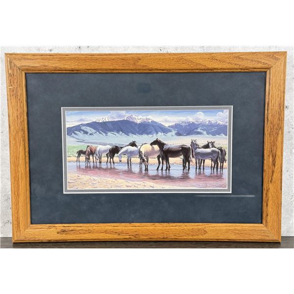 Larry Zabel Brood Mares at Valley Garden Ranch