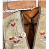 Image 6 : Santee Sioux Native American Indian Quilled Vest