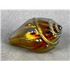 Image 1 : Robert Held Art Glass Shell Paperweight