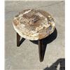 Image 1 : Zandra Petrified Wood Slab Table