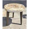 Image 4 : Zandra Petrified Wood Slab Table