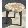 Image 1 : Zandra Petrified Wood Slab Table