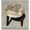 Image 3 : Zandra Petrified Wood Slab Table
