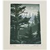 Image 2 : In the Pines Engraving