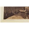 Image 2 : Edward Curtis Photogravure The Tule Pool