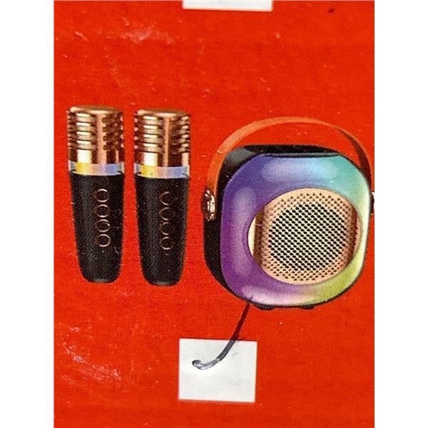 Model A5 Wireless Karaoke Sound System with Two Microphones