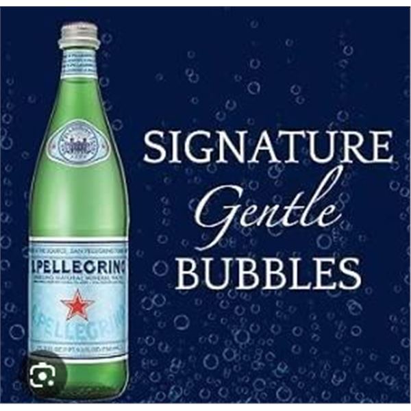 San Pellegrino Sparkling Mineral Water 15X750 mL BottleS