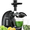 Image 1 : Brecious ZM1506 Slow Masticating Juicer