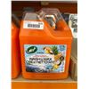 Image 2 : Turtle Wax Wash & Wax Multi-surface Cleaner 2 x 3.79L Container