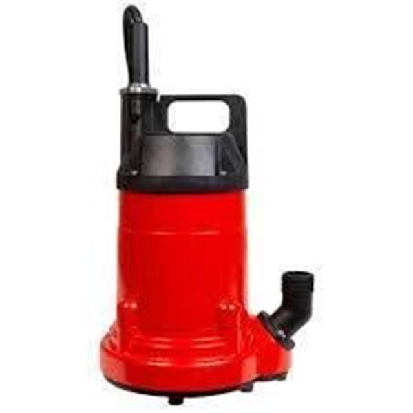 Red Lion Multi-Purpose Pump with 1/3 HP Motor and 120V Input
