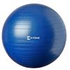 Image 1 : Evoke Guided Exercise Ball With Workout Guide, 55 cm