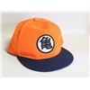 Image 1 : DRAGON BALL Z HAT