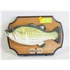 Image 1 : SINGING BIG MOUTH BILLY BASS (WORKS)
