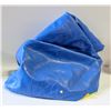 Image 1 : BIG BLUE EXERCISE BALL